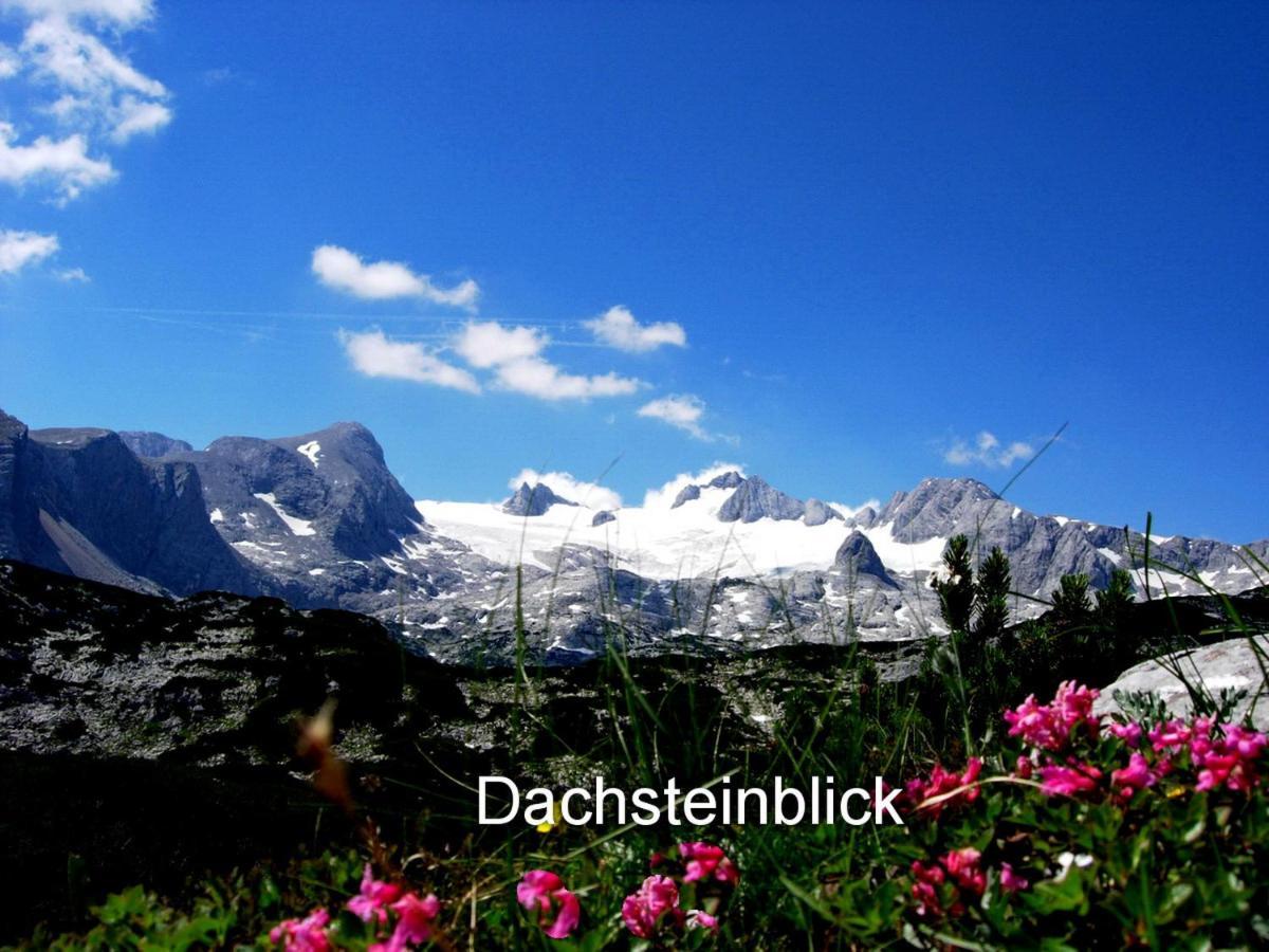 דירות אוברטראון Haus Alpenblick מראה חיצוני תמונה