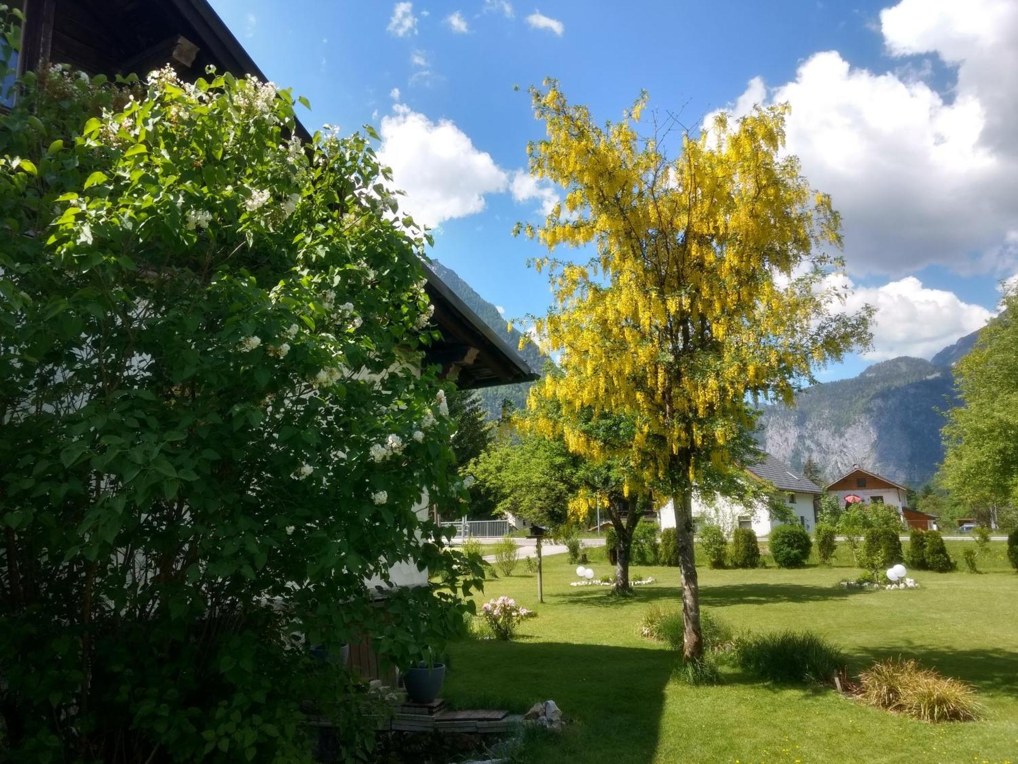 דירות אוברטראון Haus Alpenblick מראה חיצוני תמונה